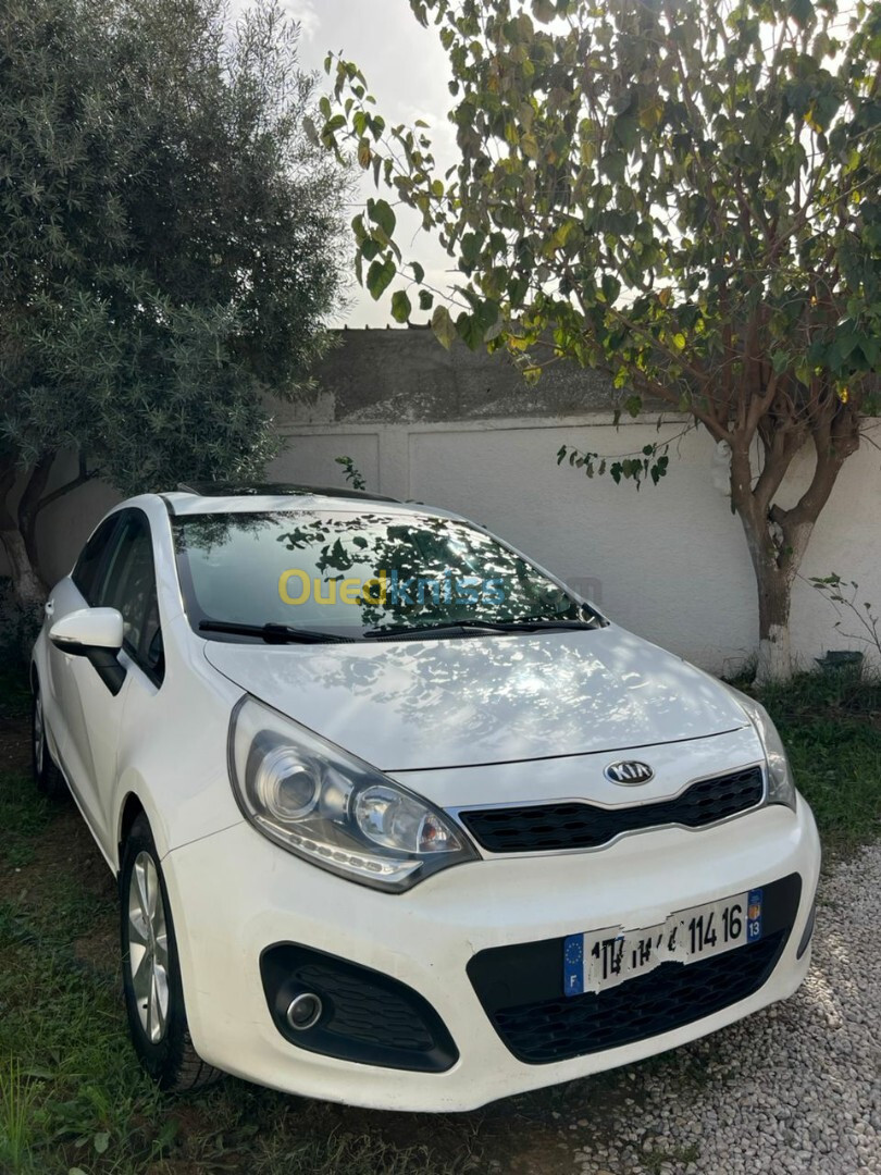 Kia Rio 5 portes 2014 Funny