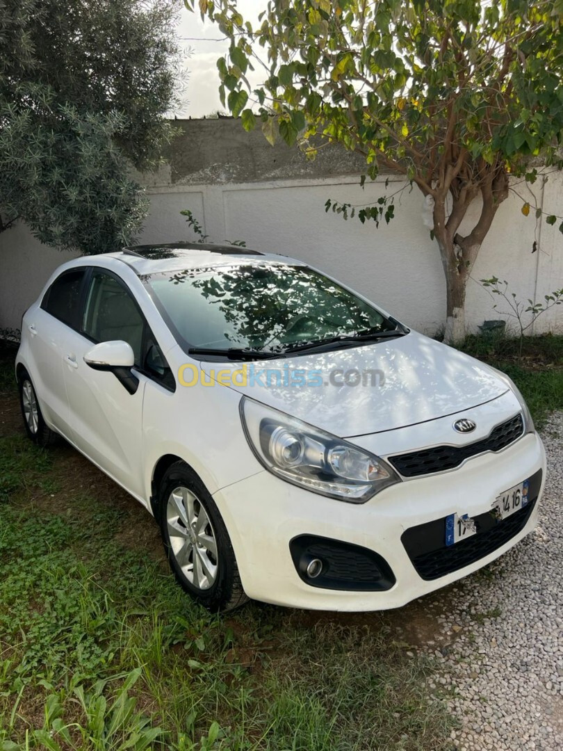 Kia Rio 5 portes 2014 Funny