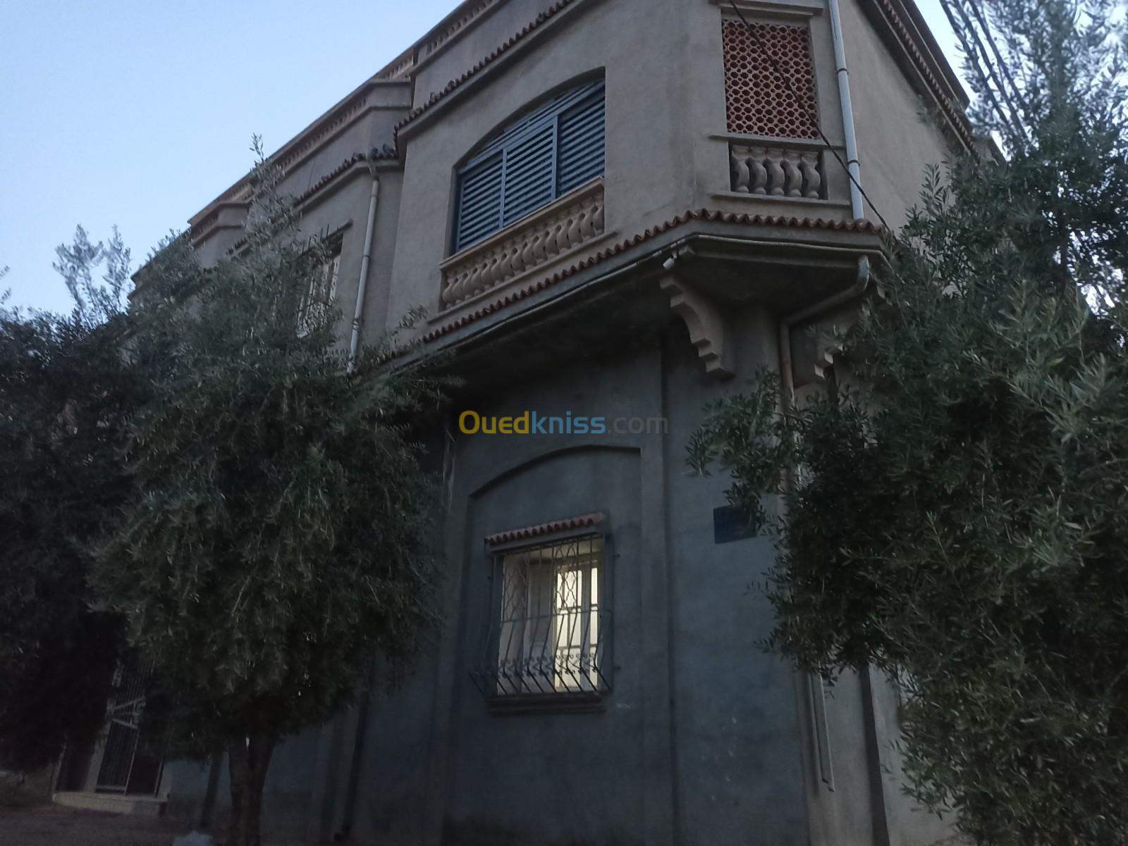 Vente Villa Sidi bel abbes Sidi ali benyoub