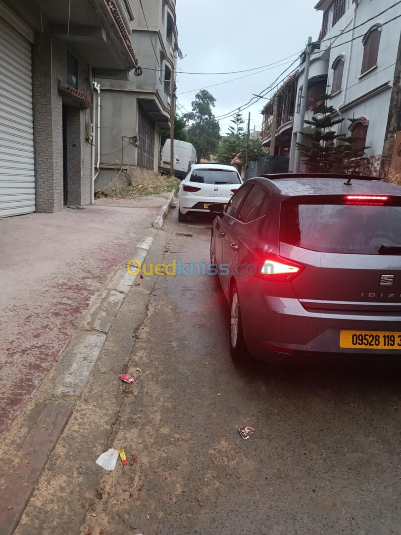 Seat Ibiza 2019 Ibiza