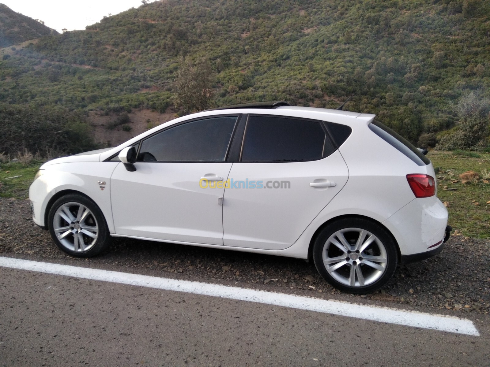 Seat Ibiza 2011 Loca