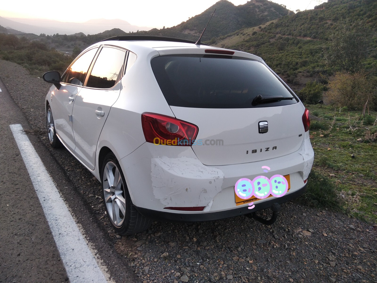 Seat Ibiza 2011 Loca