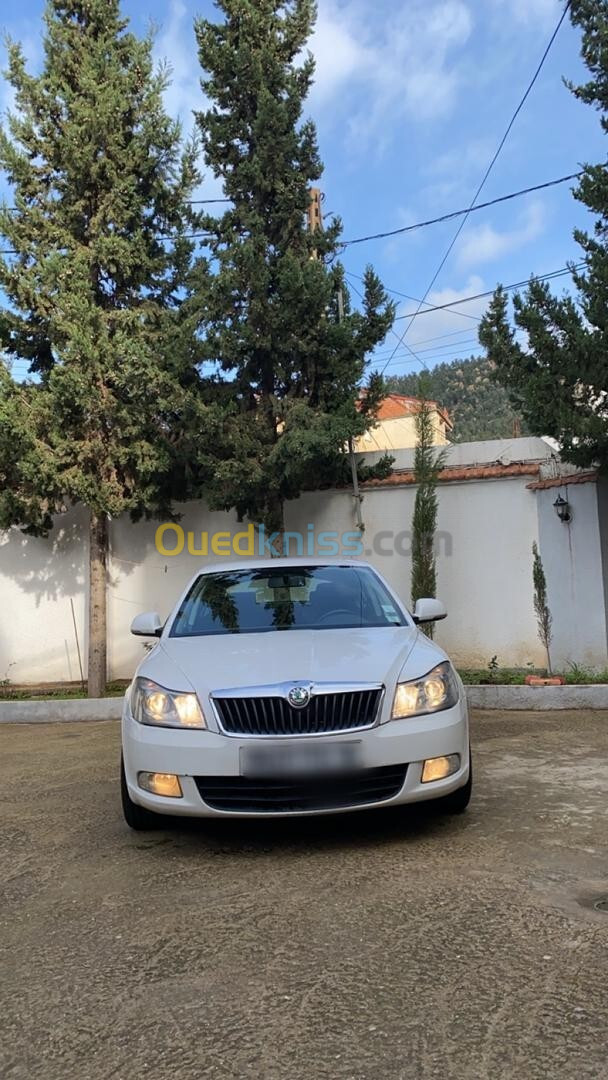 Skoda Octavia 2013 Ambiente