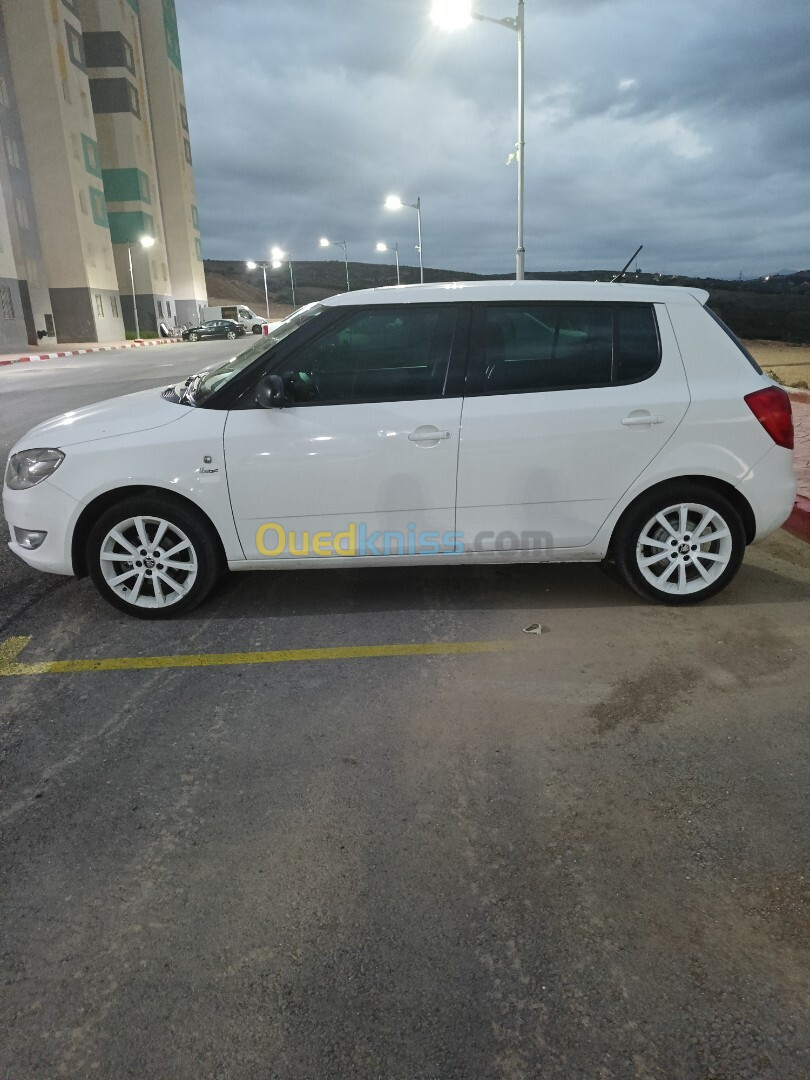 Skoda Fabia 2015 Visage