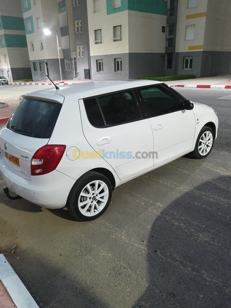 Skoda Fabia 2015 Visage