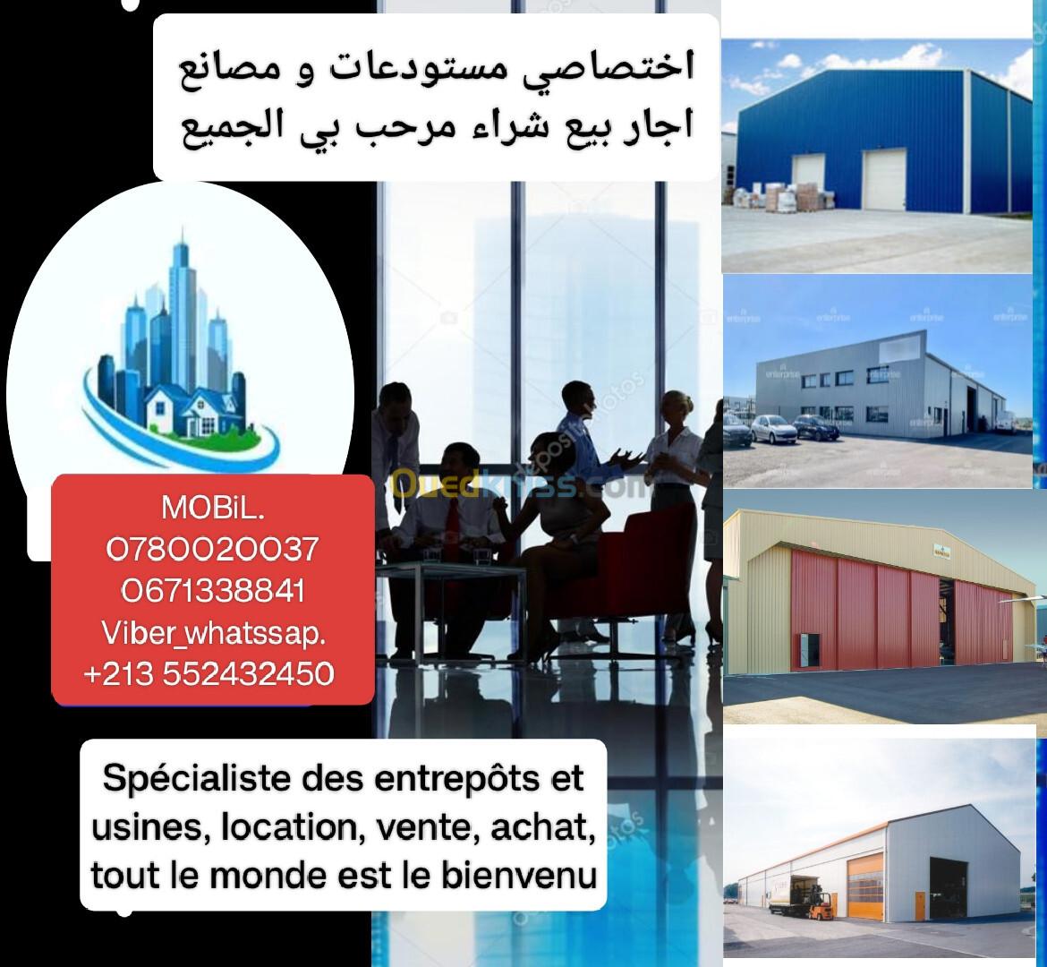 Location Hangar Alger Oued smar