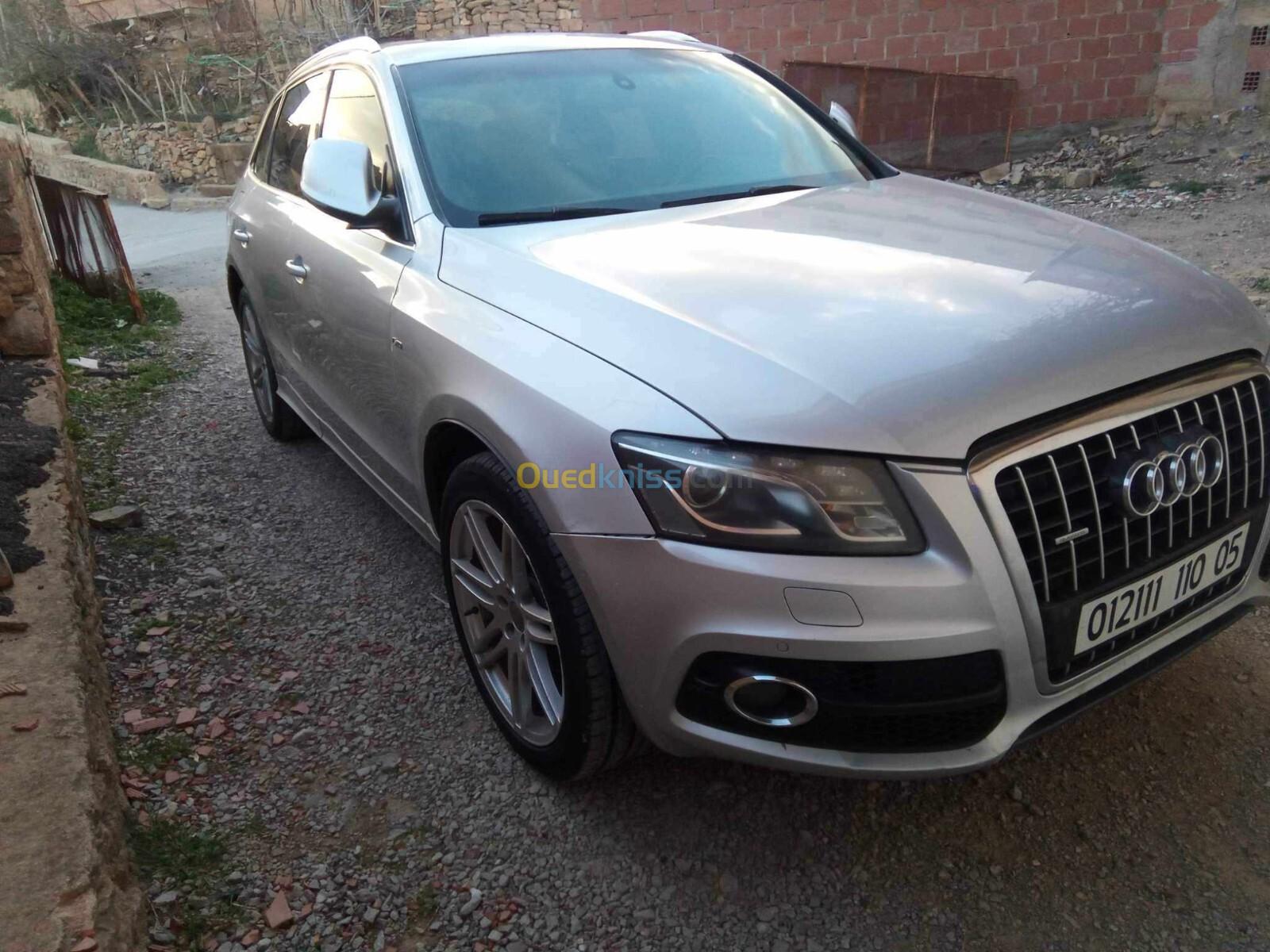 Audi Q5 2010 S line