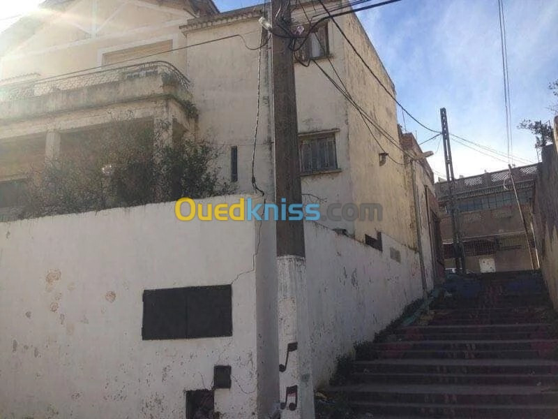 Vente Villa Alger Kouba