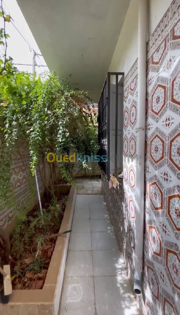 Vente Villa Guelma Guelma