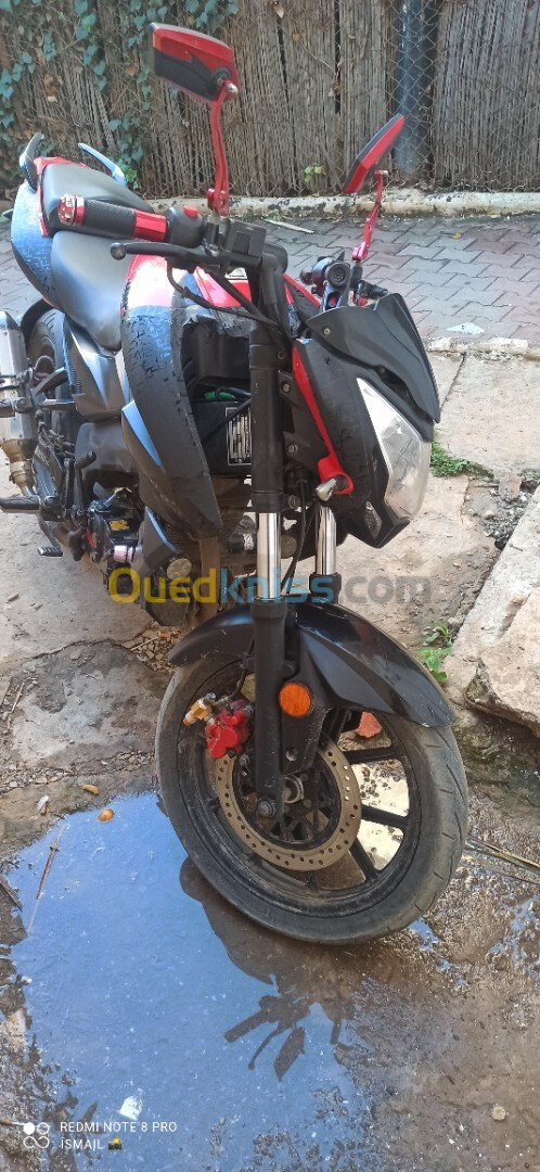 RTM Tmmp 250 cc 2019