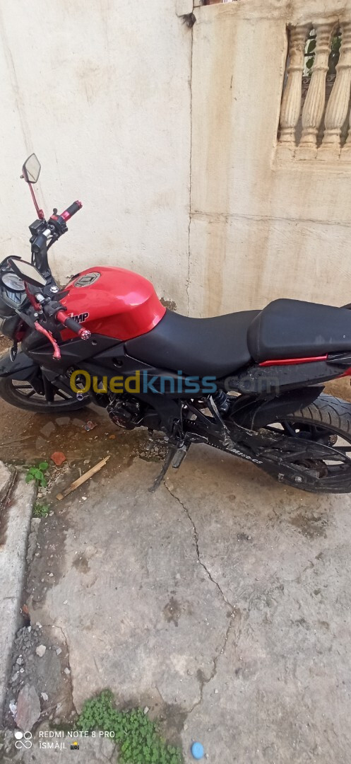 RTM Tmmp 250 cc 2019