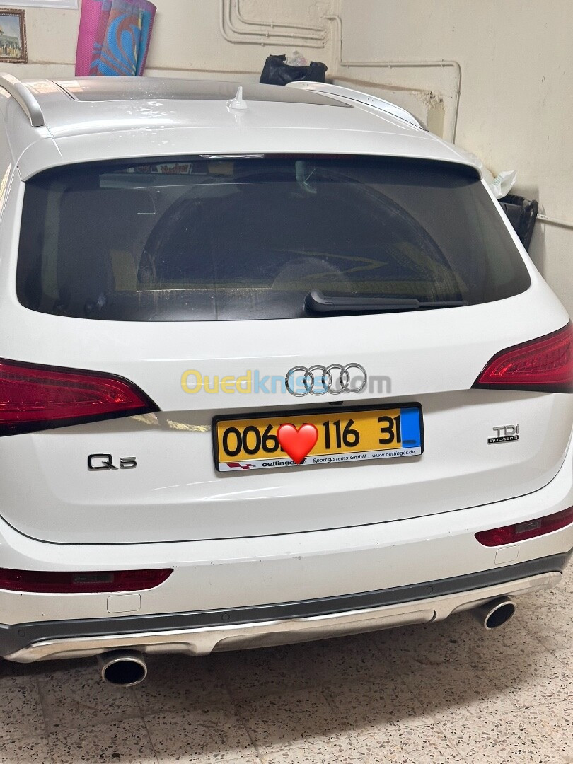 Audi Q5 2016 Off Road