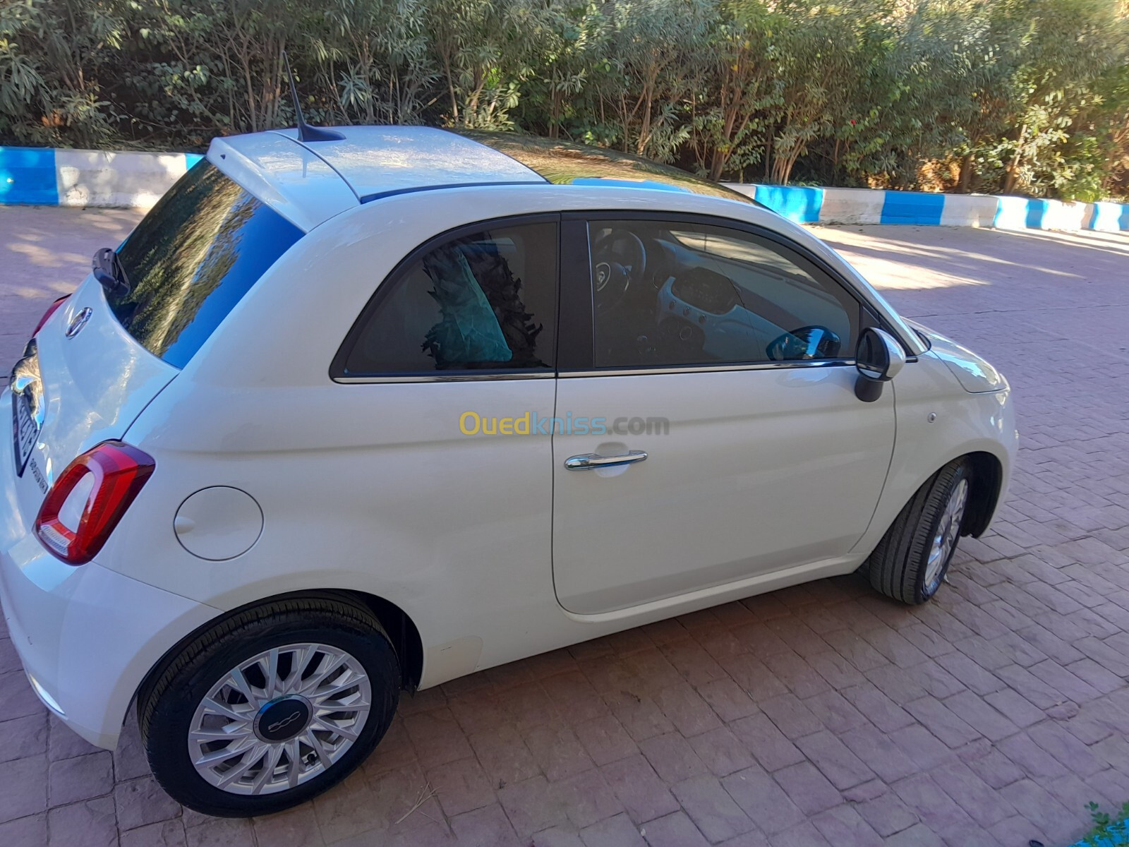 Fiat 500 2023 Club