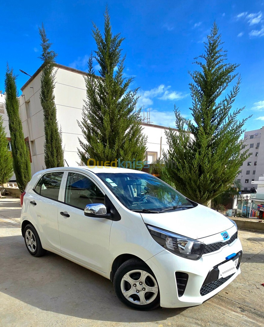 Kia Picanto 2019 