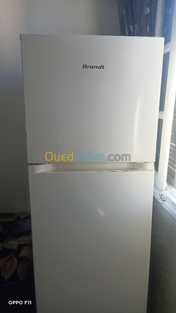 Frigidaire brandt 550L