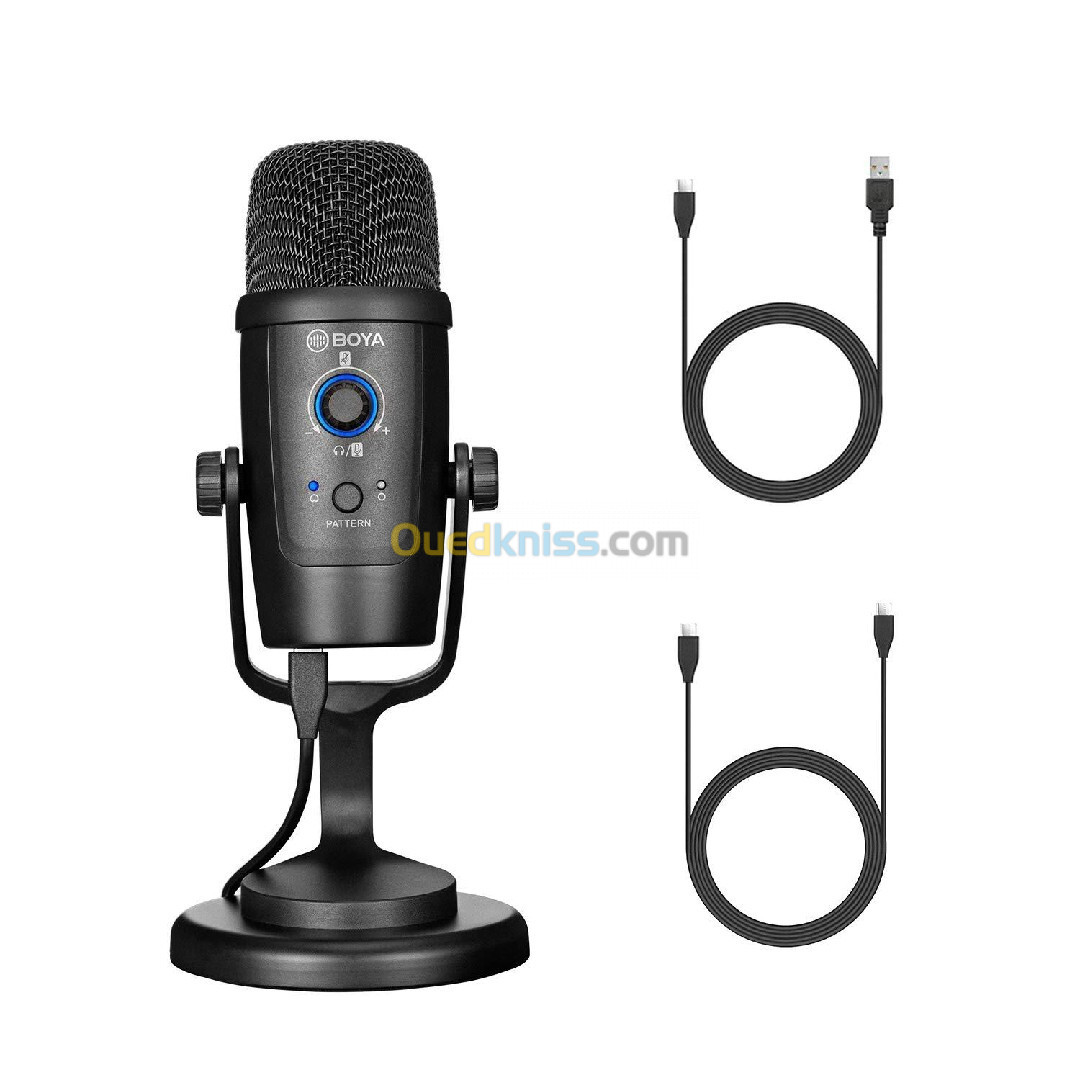  Microphone BY-PM500  USB