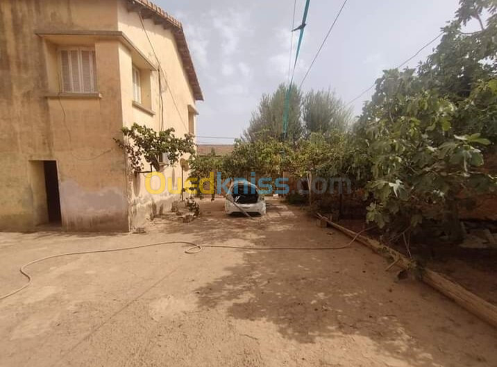 Vente Villa Mostaganem Mostaganem