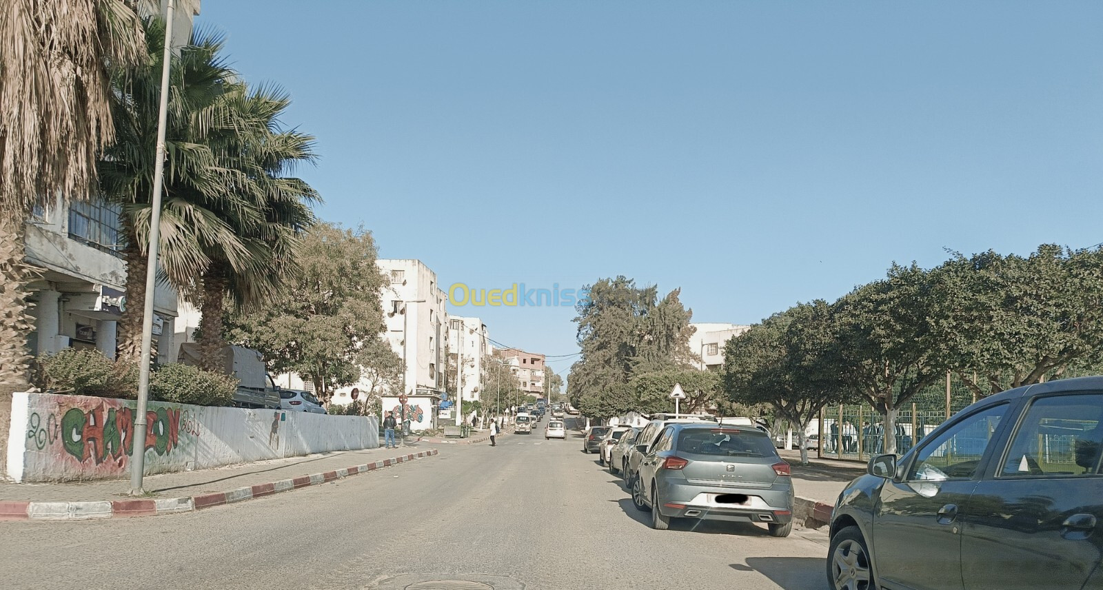 Vente Local Alger Gue de constantine