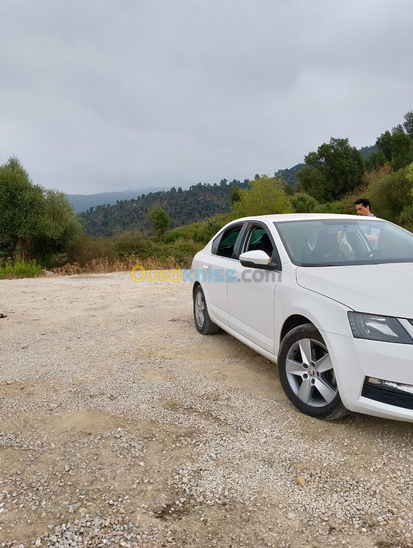 Skoda Octavia 2017 Ambition