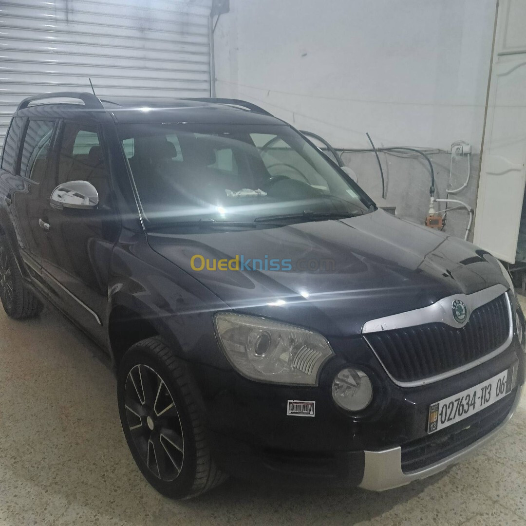 Skoda Yeti 2013 Yati