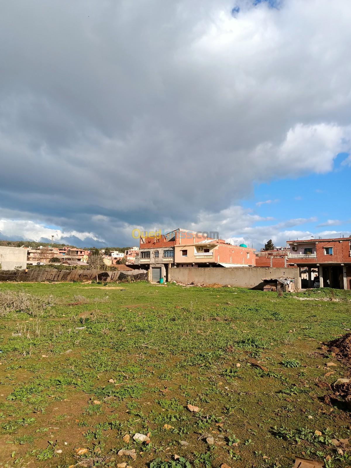 Vente Terrain Tipaza Chaiba