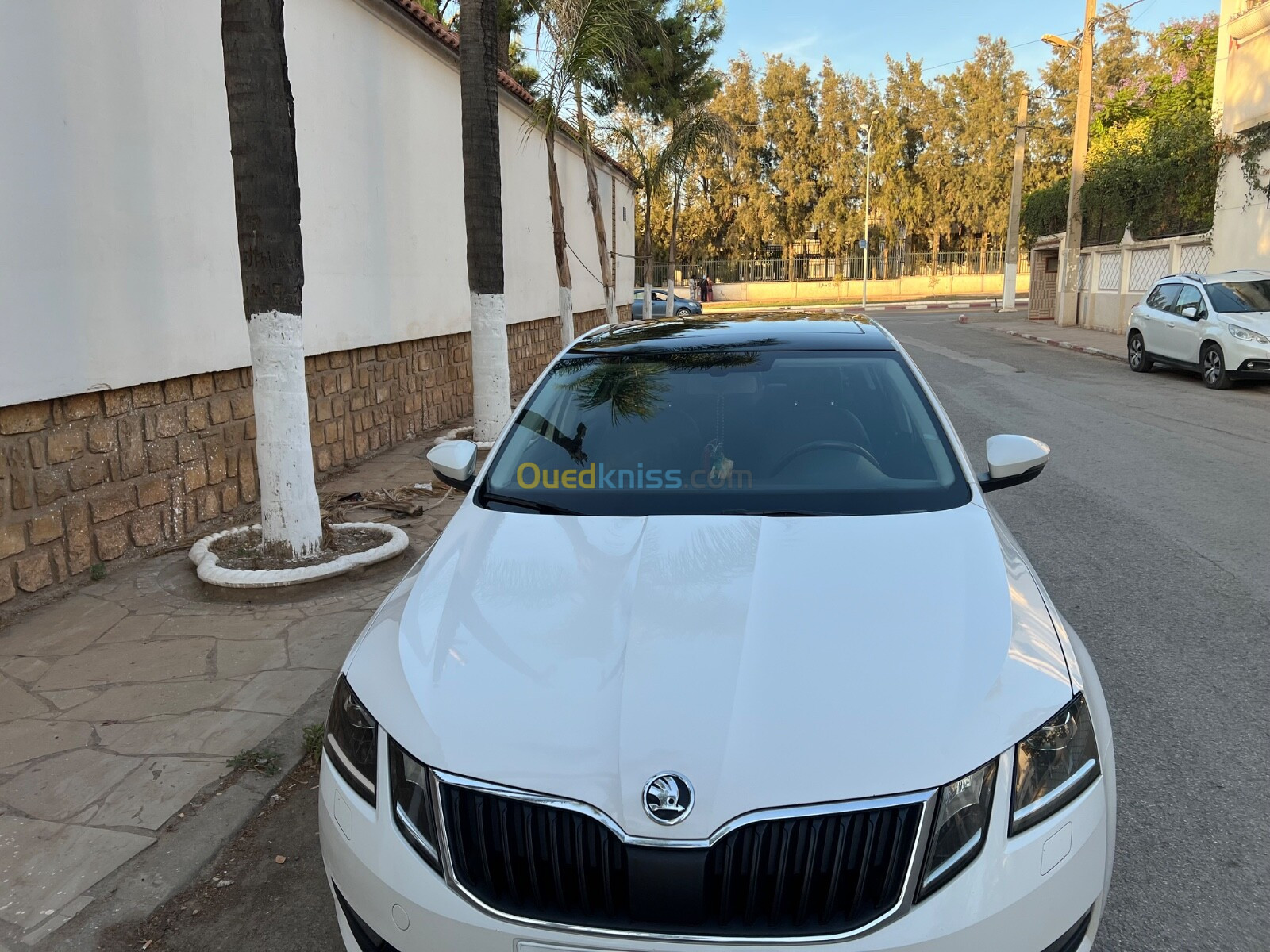 Skoda Octavia 2019 Clever