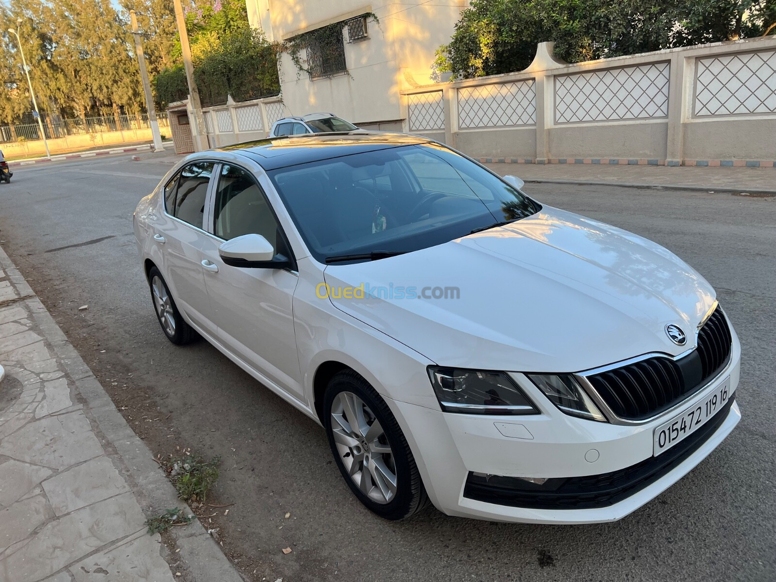 Skoda Octavia 2019 Clever