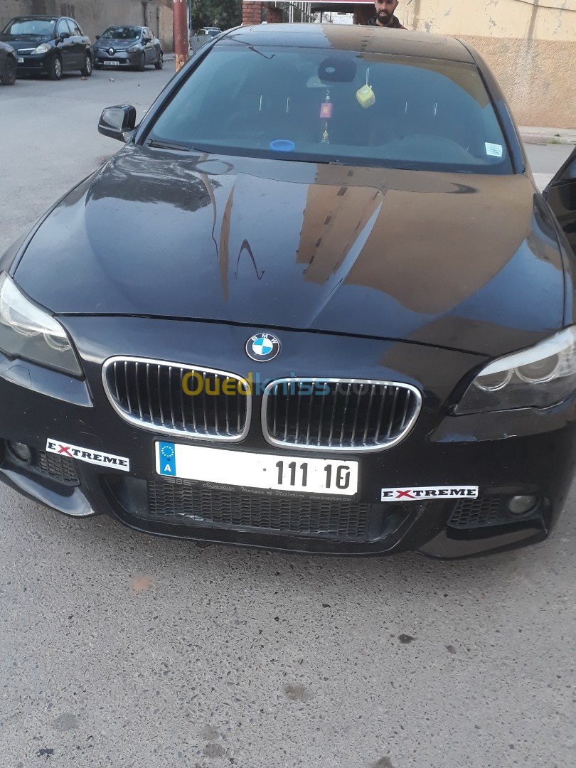 BMW Série 5 2011 F10