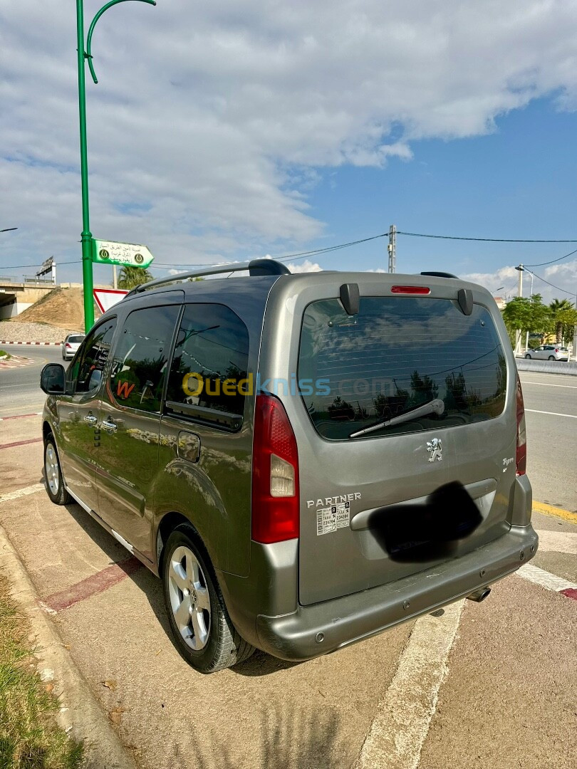 Peugeot Partner 2010 Tepee