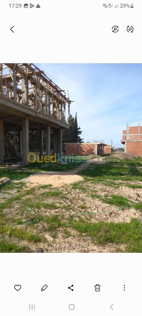 Vente Terrain Blida Chebli