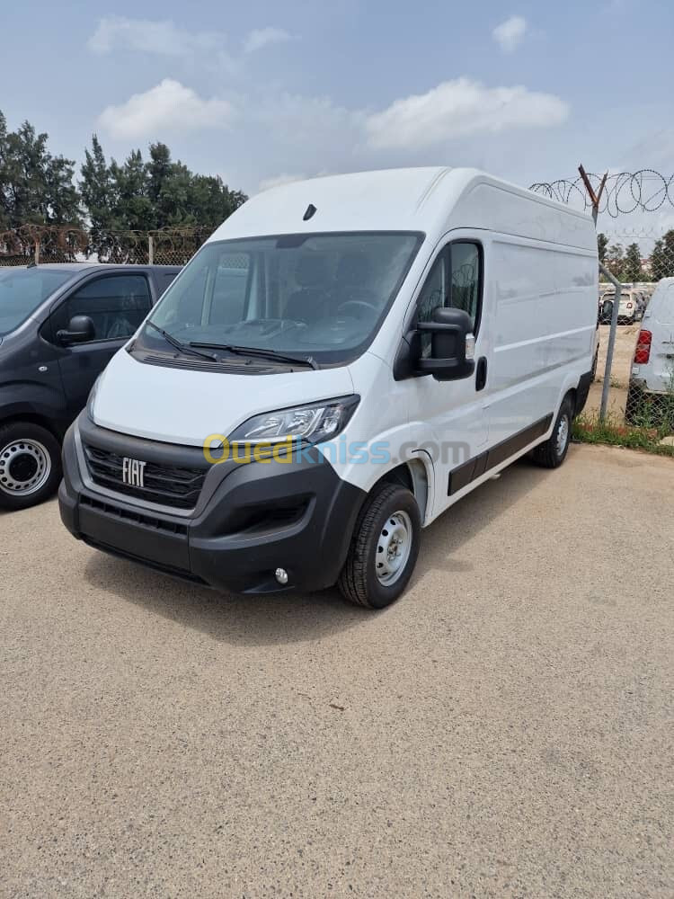 Fiat H2 L2 Ducato 2024