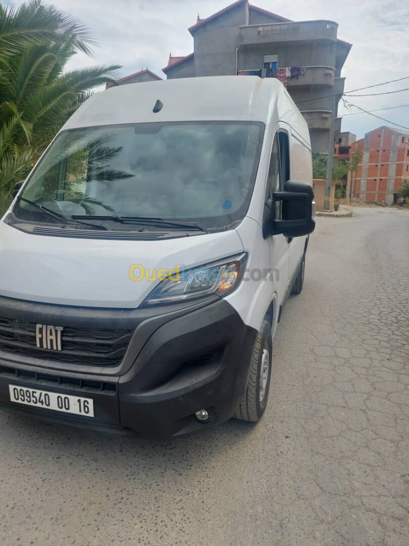 Fiat H2 L2 Ducato 2024