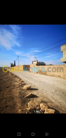 Vente Terrain Oran Sidi chami