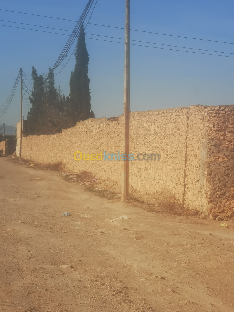 Vente Terrain Oran Sidi chami