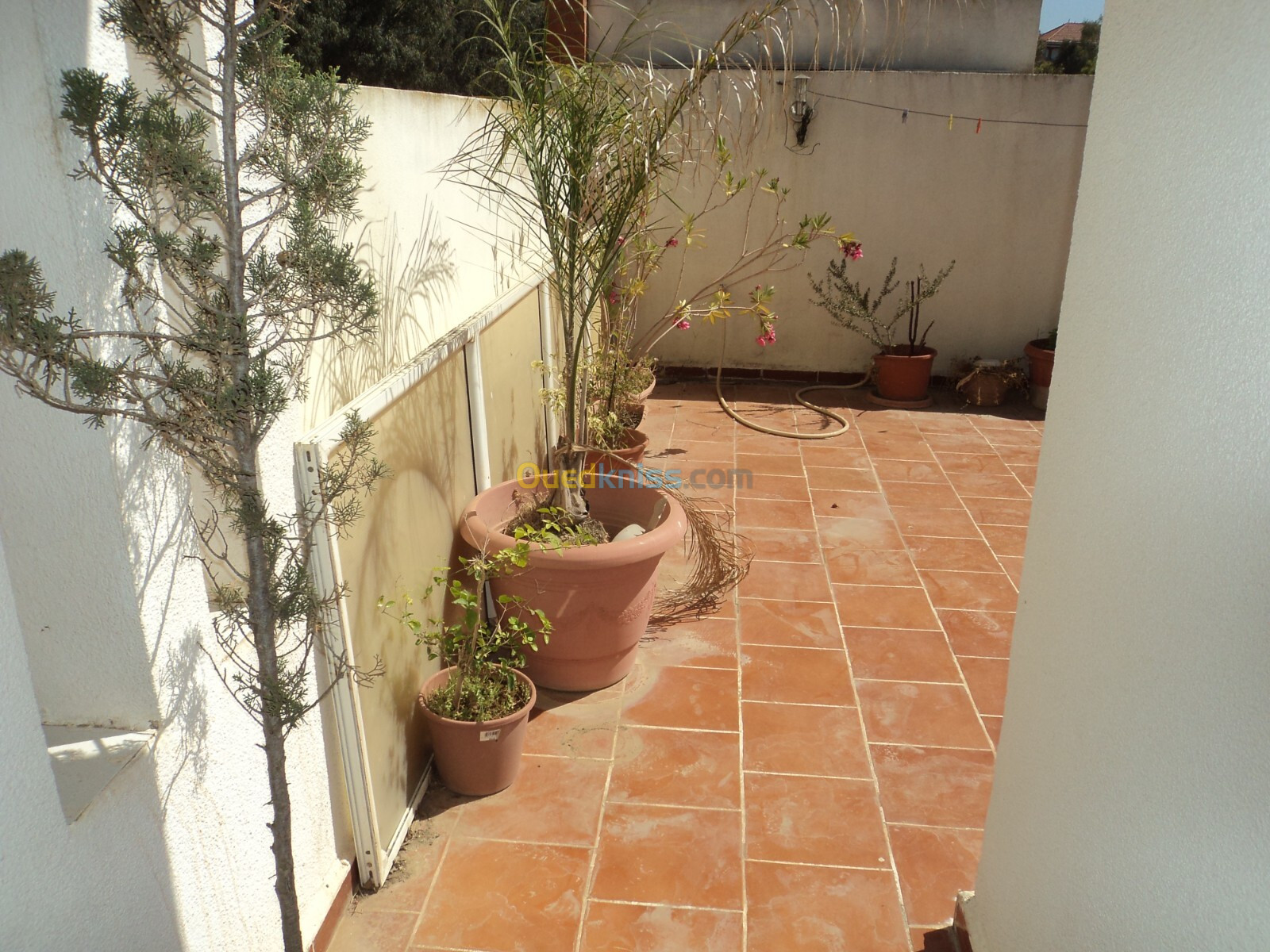 Vente Villa Alger Saoula