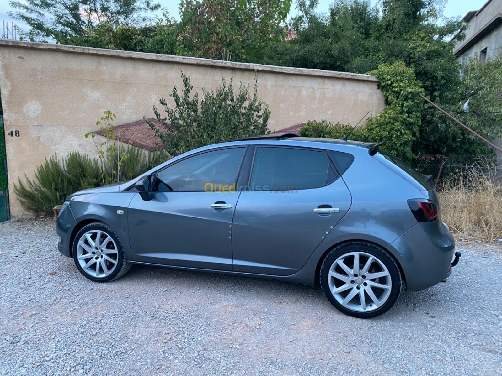 Seat Ibiza 2012 