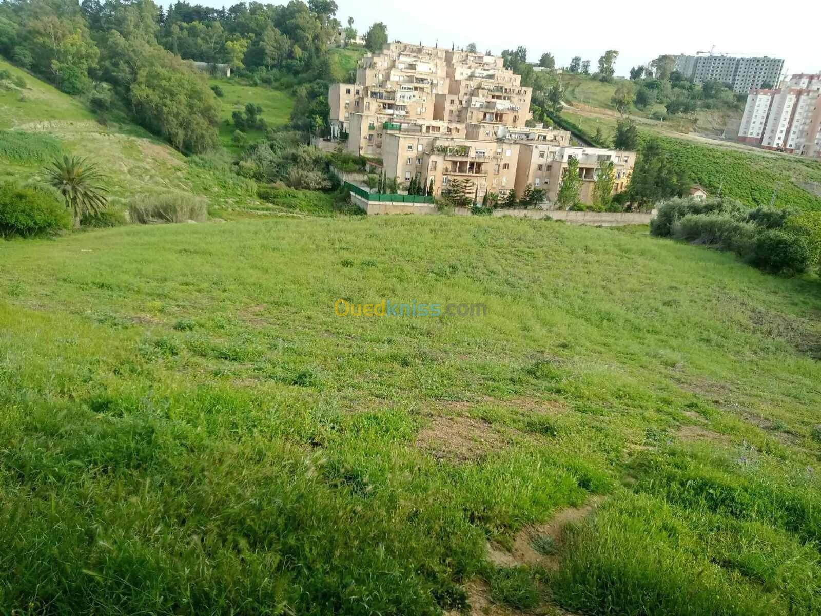 Vente Terrain Alger Ouled fayet