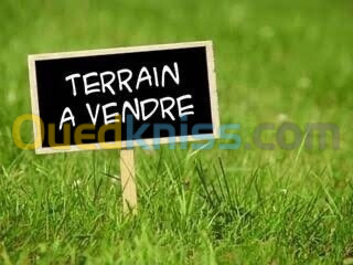 Vente Terrain Oran Bir el djir