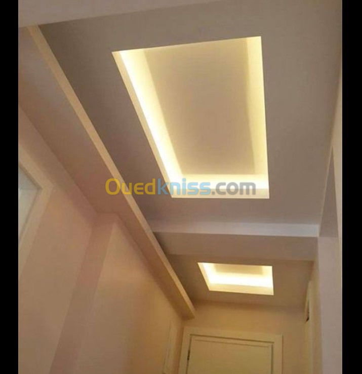 Foux plafond PVC et placo plâtre decration mobile tout les wilayia 