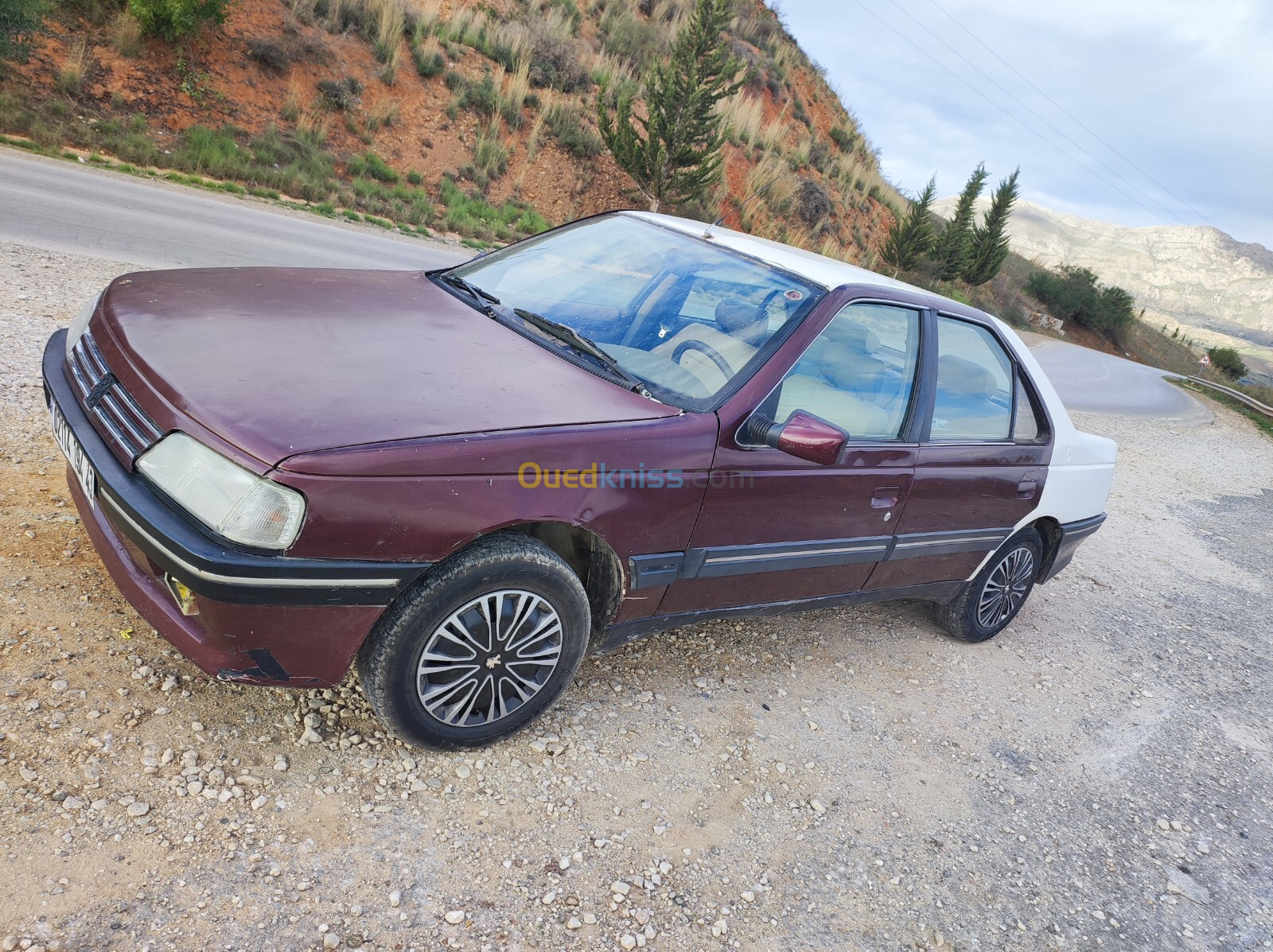 Peugeot 405 1994 