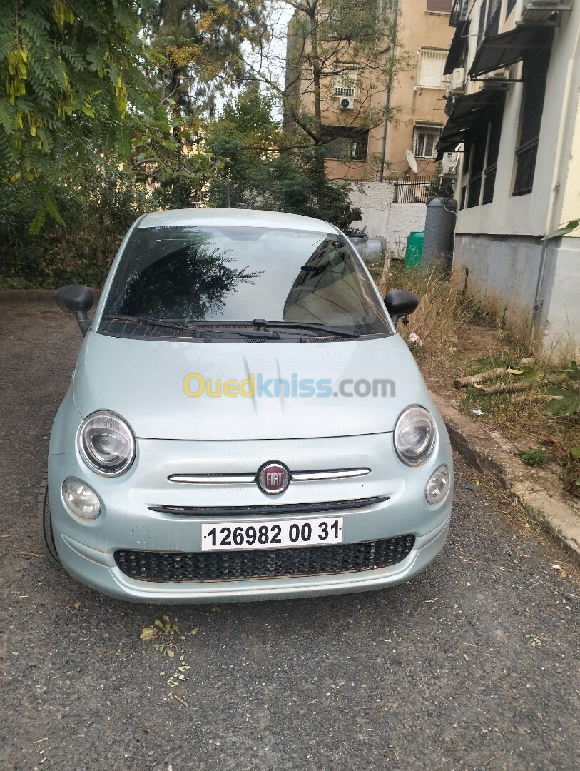 Fiat 500 2024 Culotte