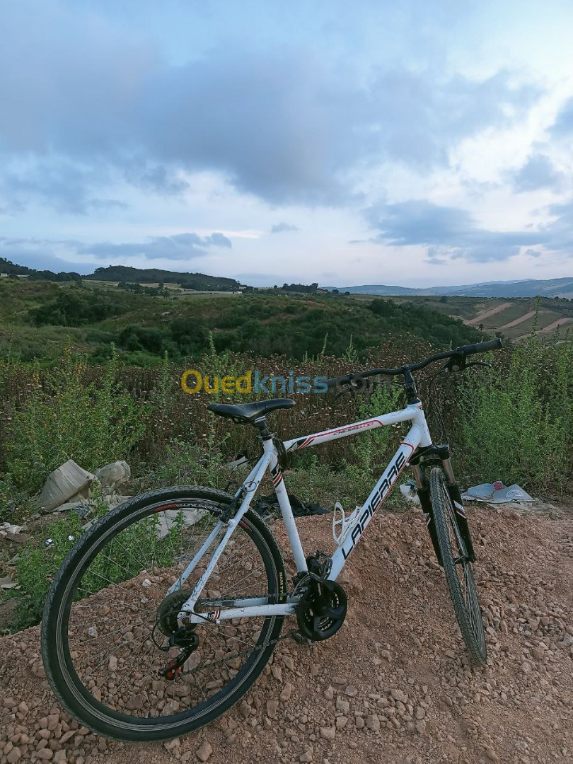 Vélo VTT 27.5" XL