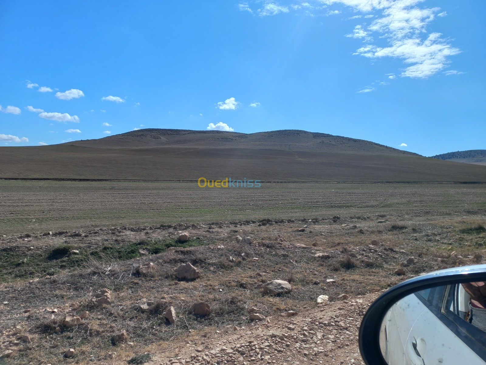 Vente Terrain Agricole Oum el bouaghi Ain beida