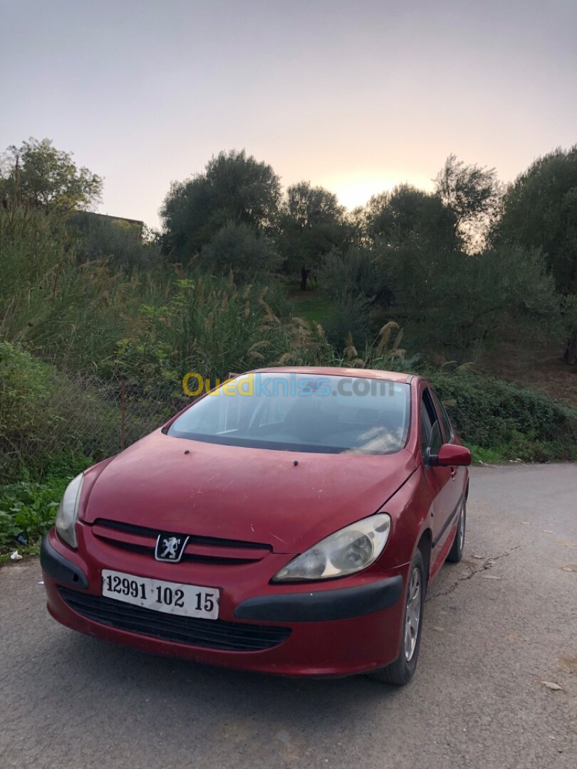 Peugeot 307 2002 XT