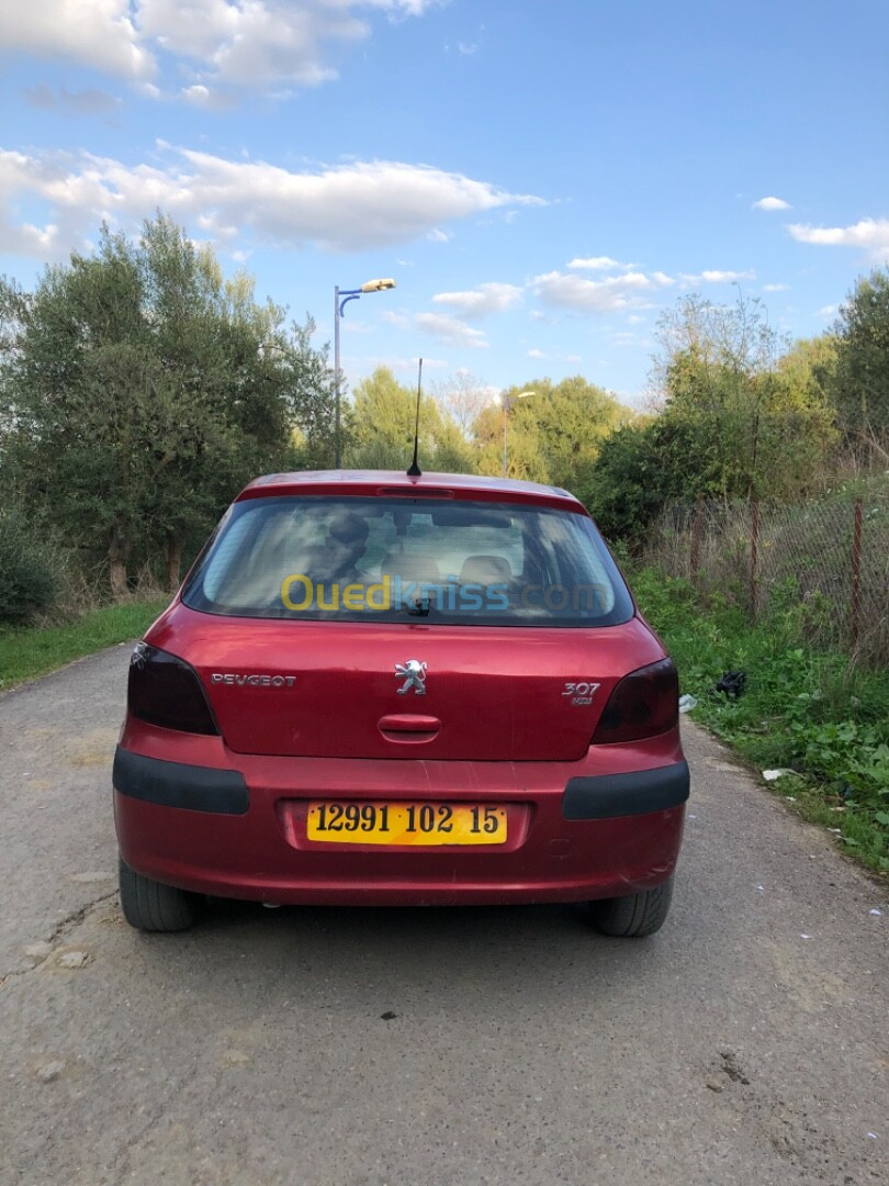 Peugeot 307 2002 XT