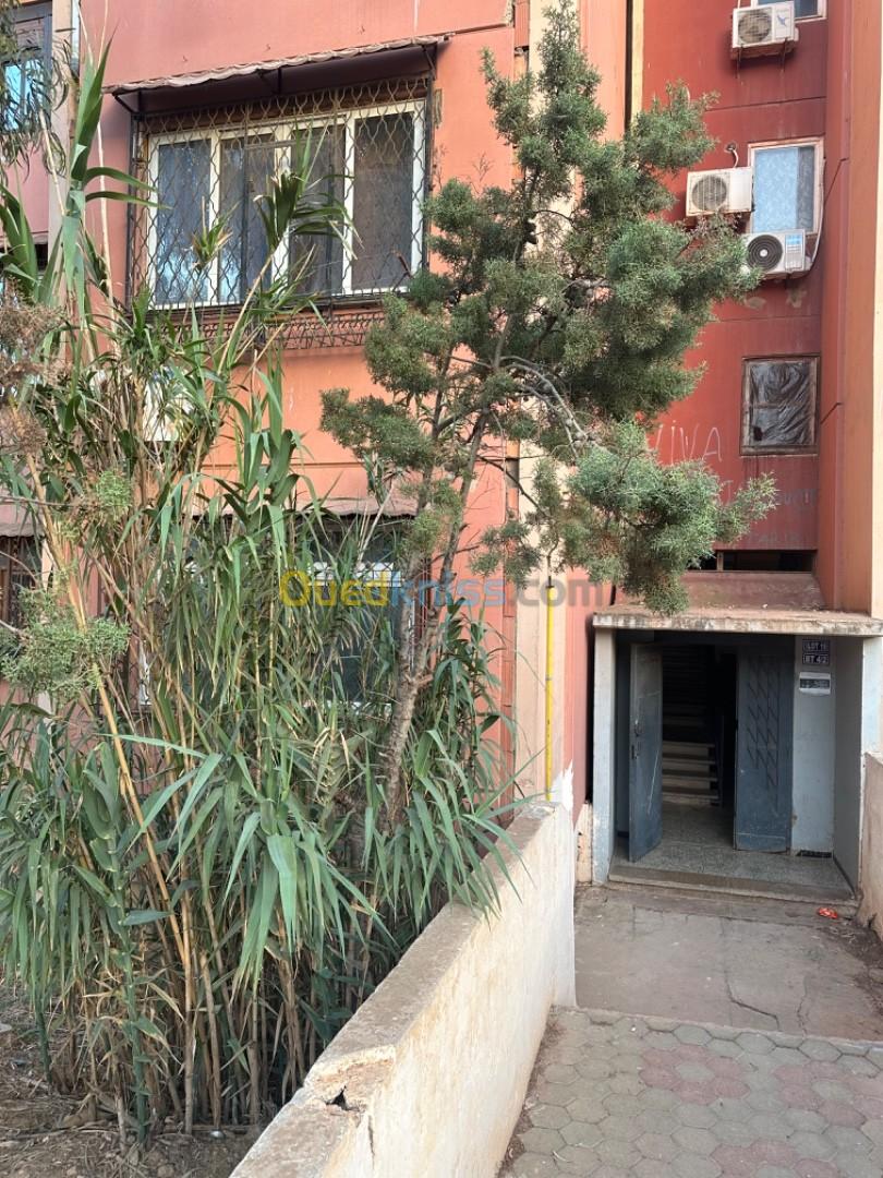 Vente Appartement F3 Oran Arzew