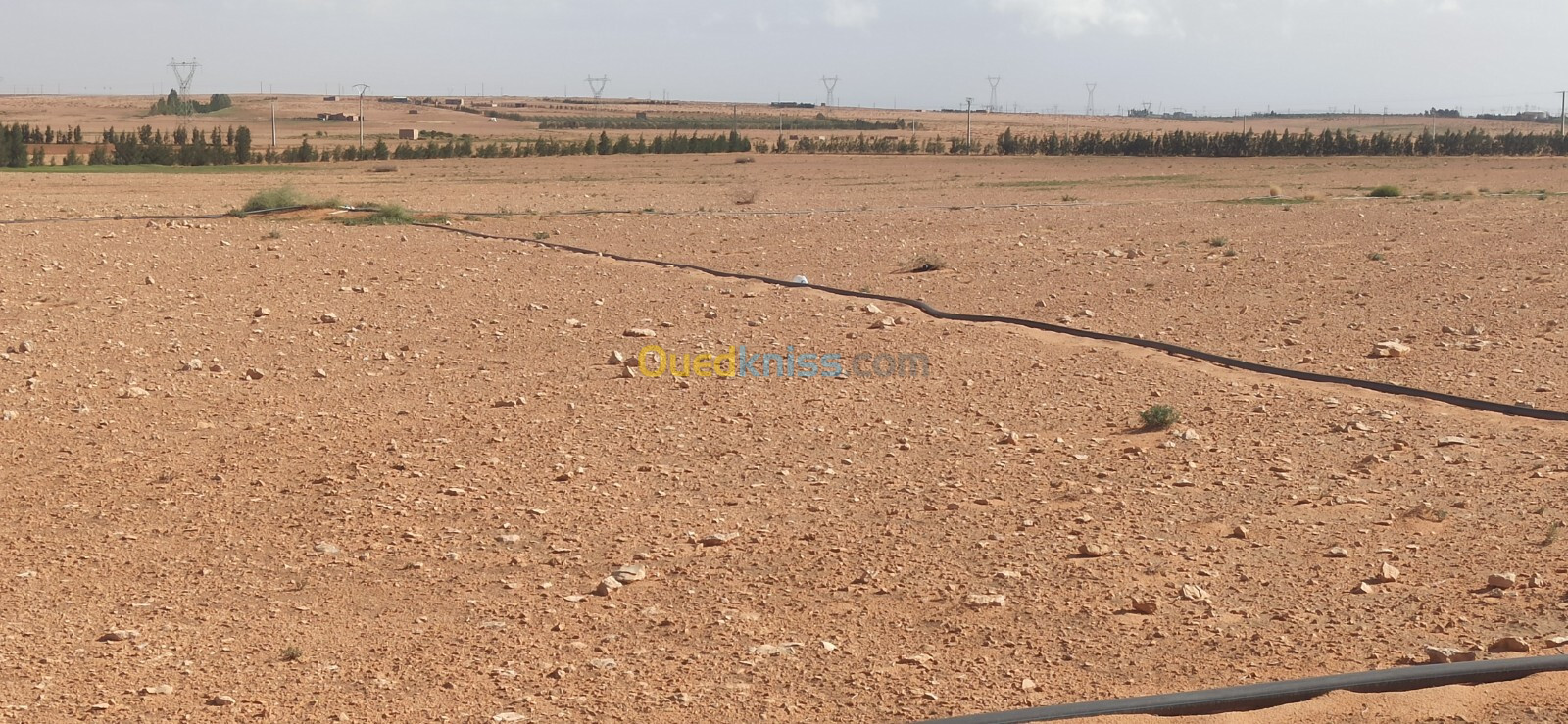 Vente Terrain Agricole Djelfa Ain oussara