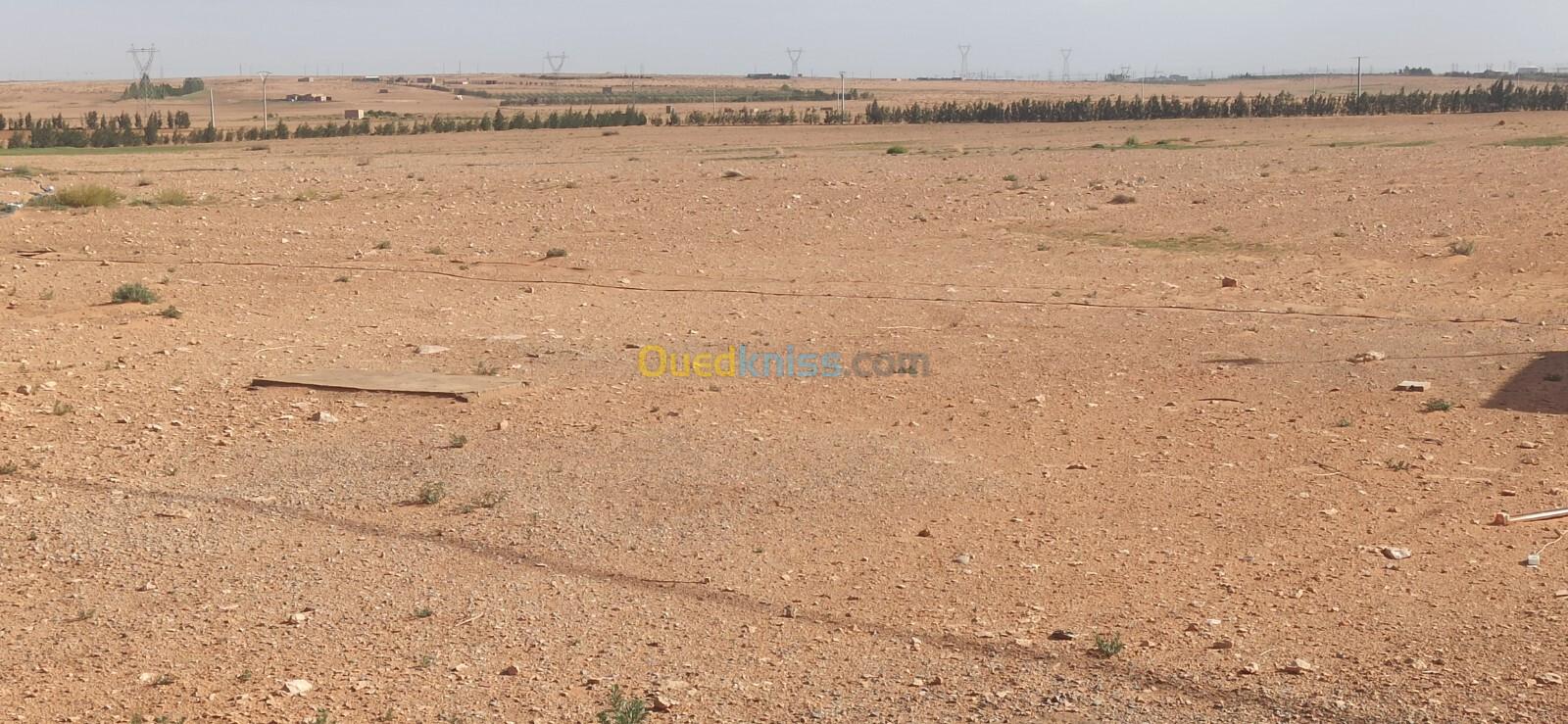 Vente Terrain Agricole Djelfa Ain oussara