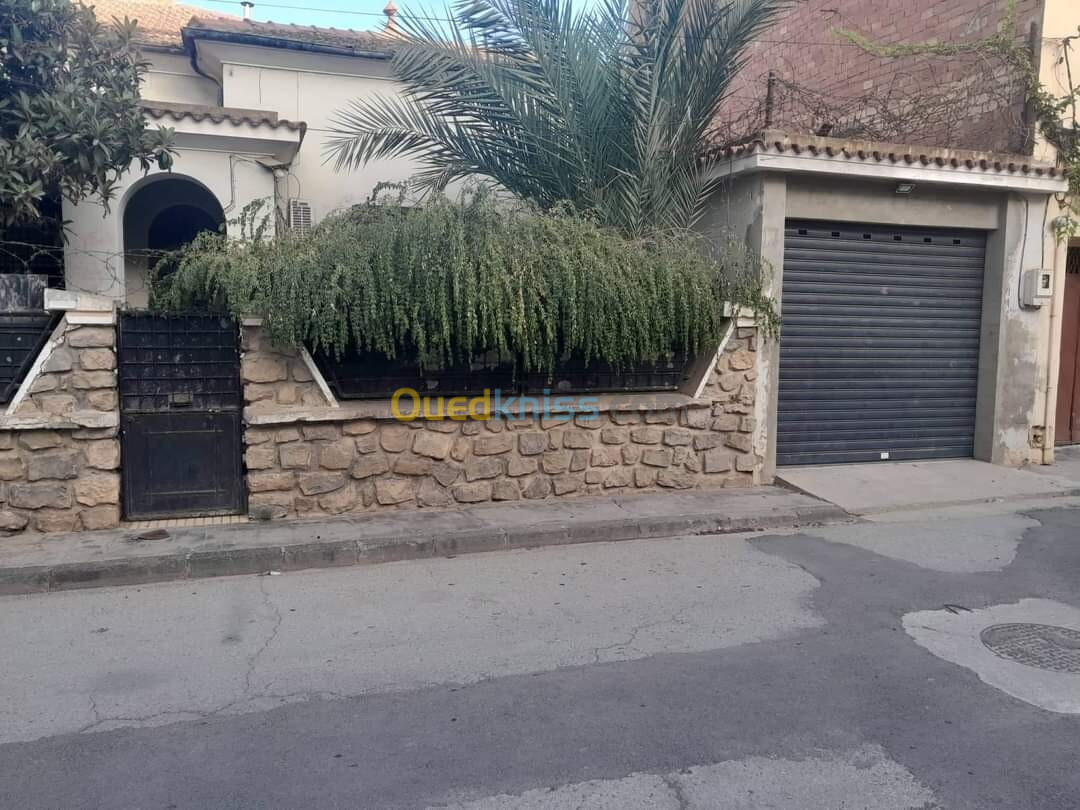 Vente Villa Sidi Bel Abbès Sidi bel abbes