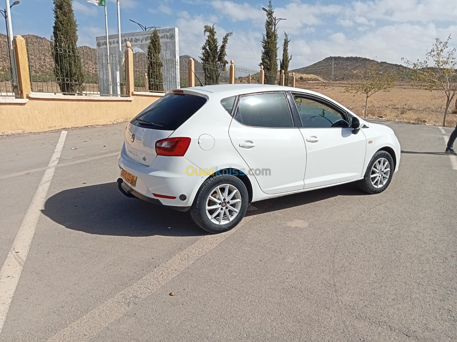 Seat Ibiza 2013 Fully